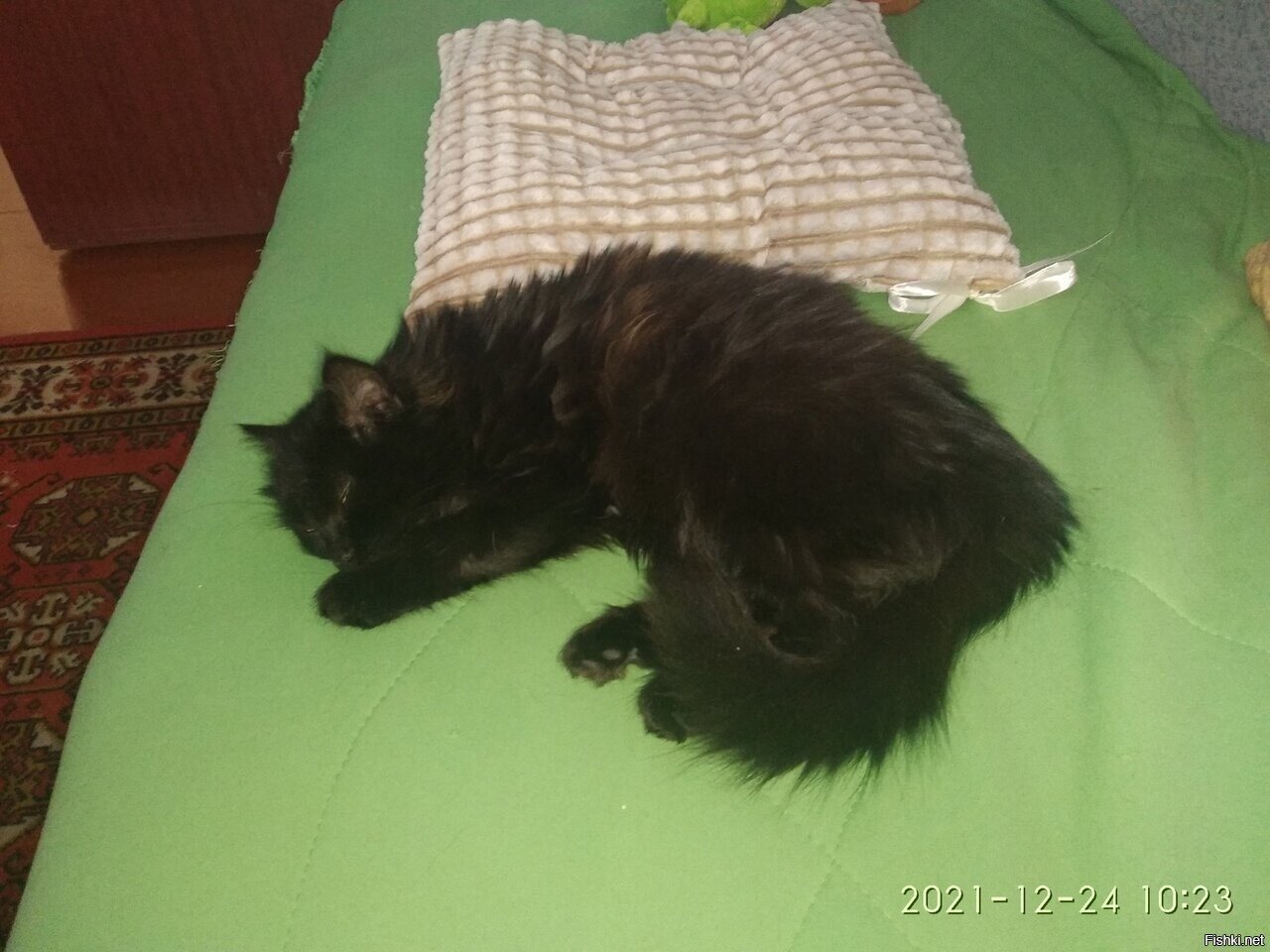 Шёл я утром с работы