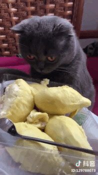 Третий день у бабушки