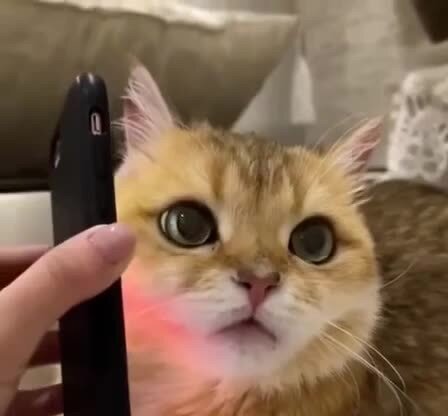 Когда слушаешь своё сообщение после гулянки ))