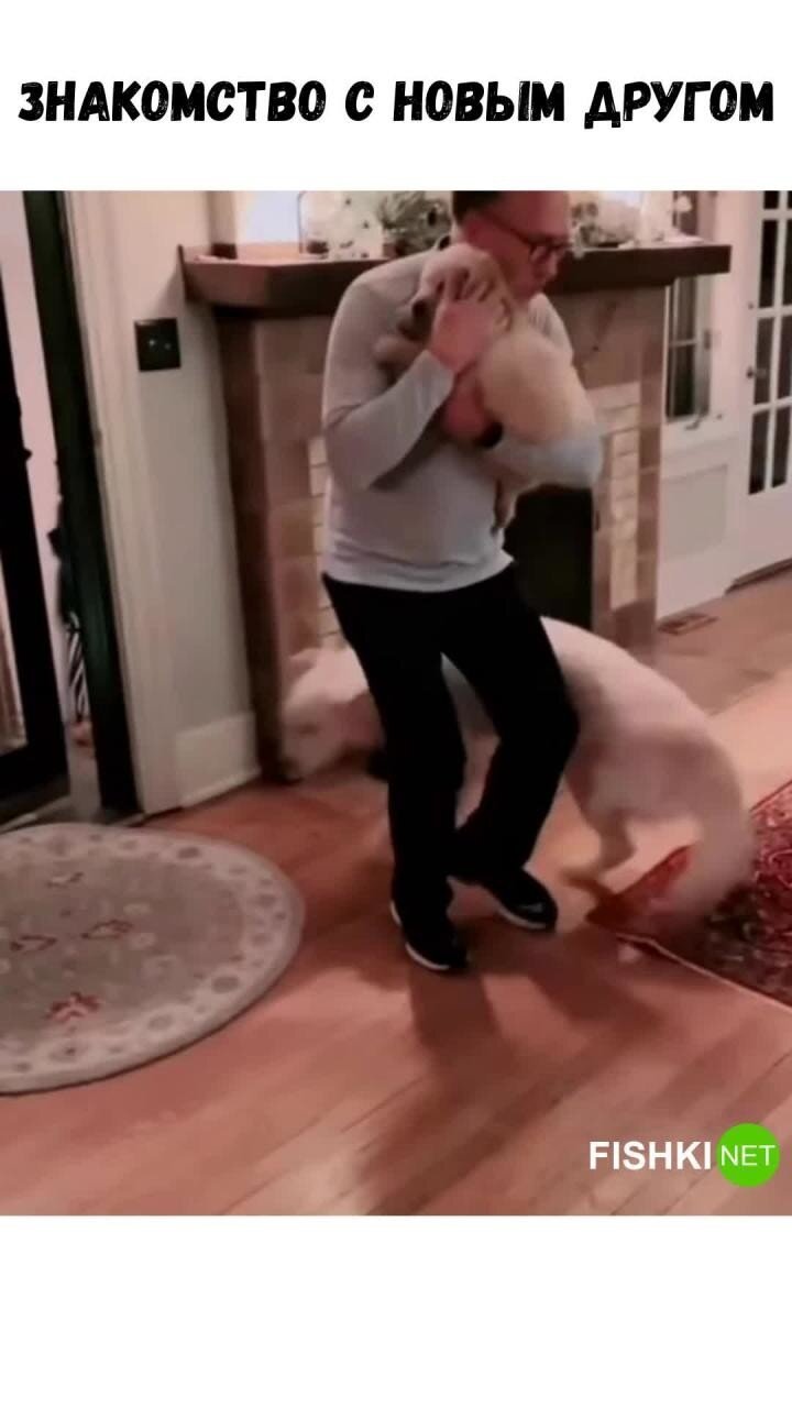  Хозяин знакомит своего пса со щенком
