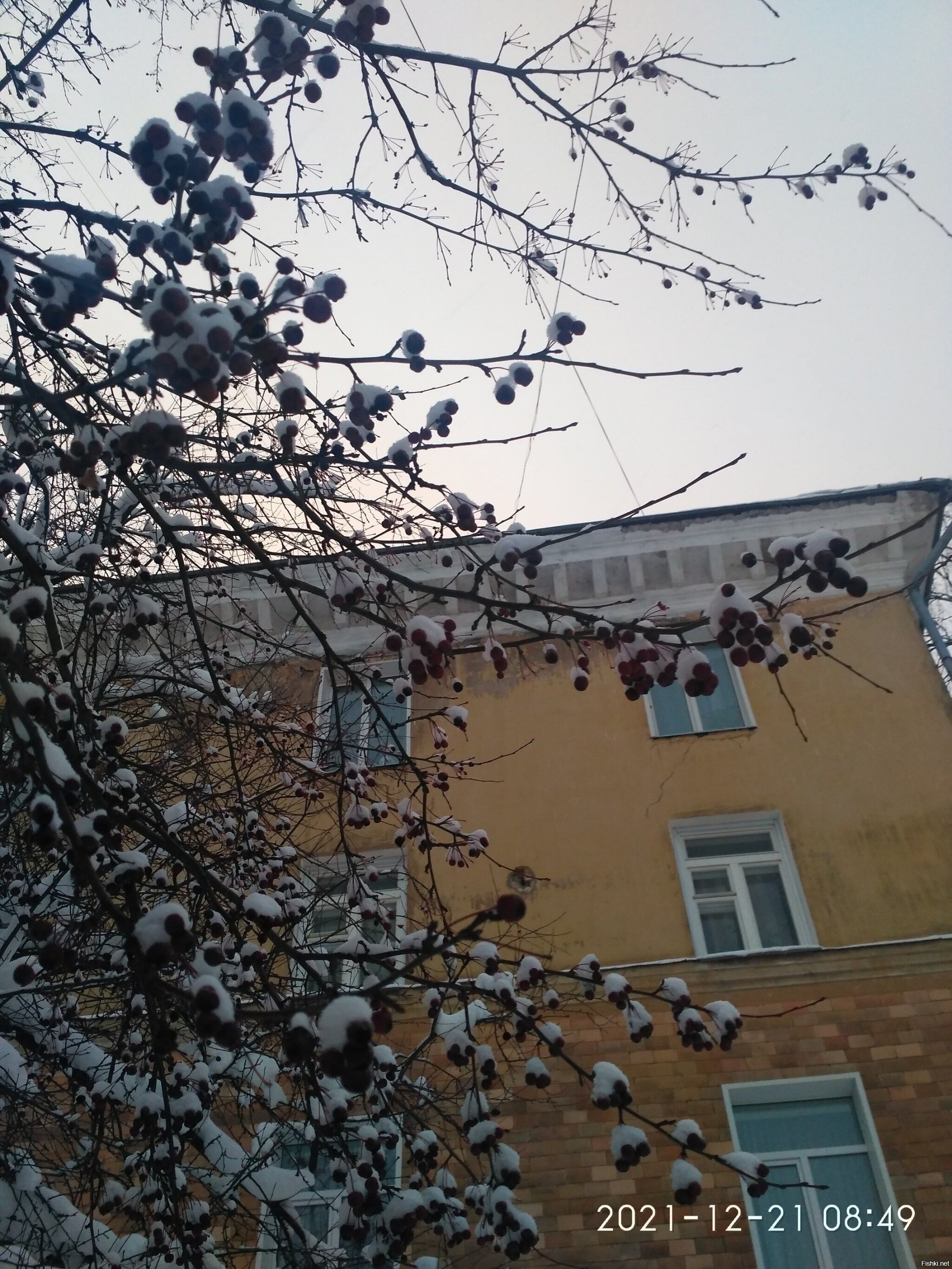 Взгляд остановит 