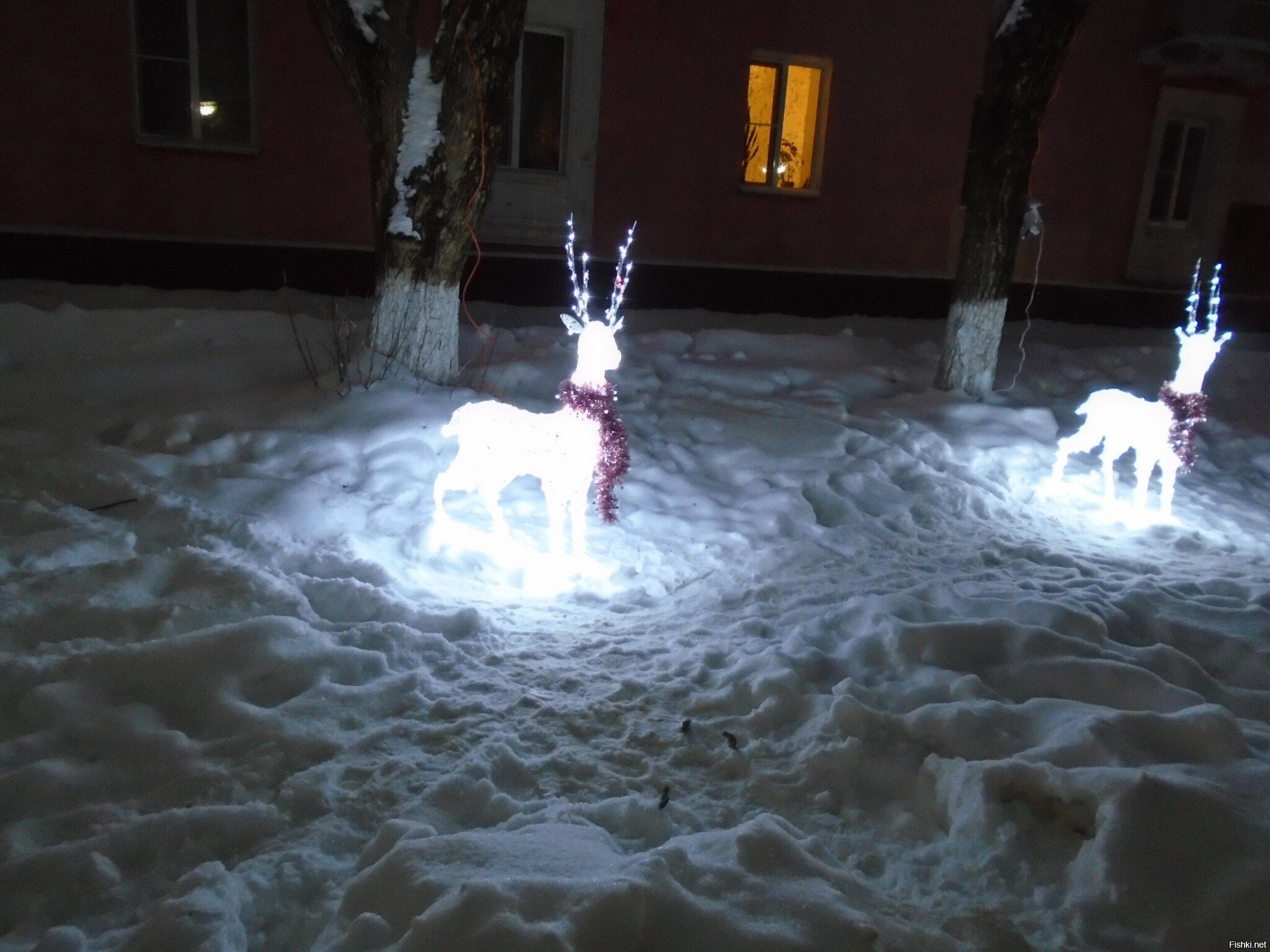 Всем удачной пятницы