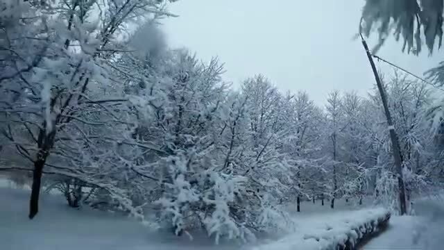 А ни чё шо на французском