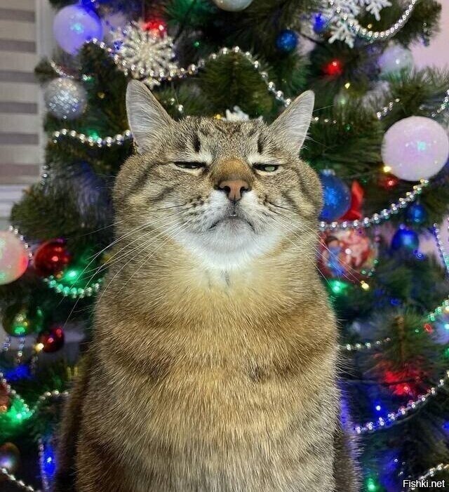 Официальное лицо уходящего 2021 года