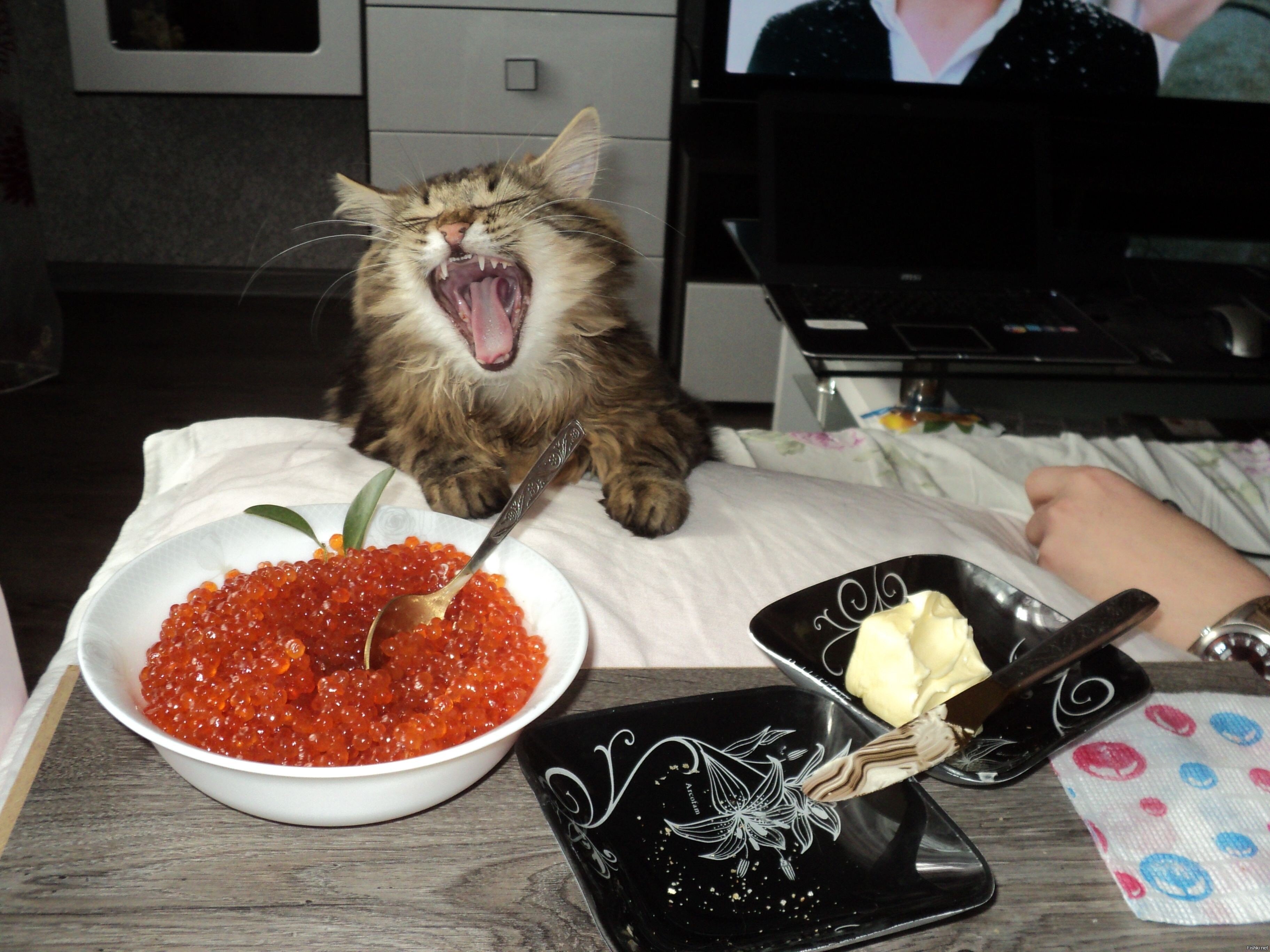 Я РЫБОВ просил