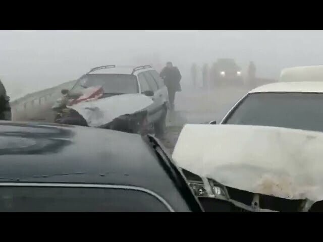 В Казахстане начался зомбо - апоклипсис