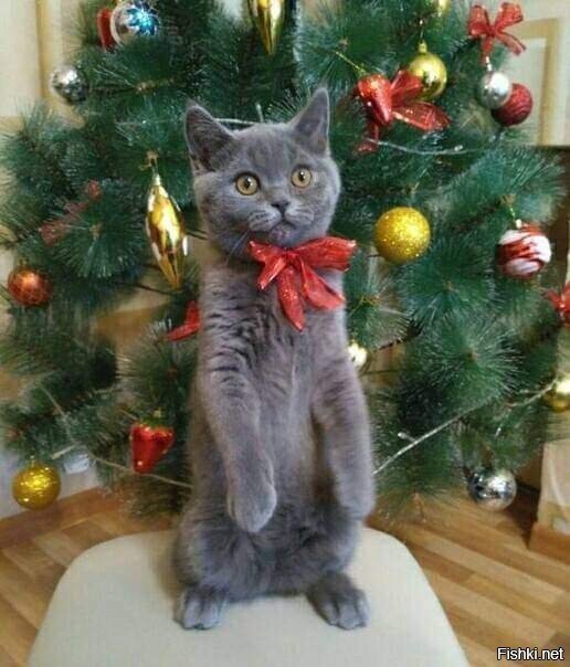 а сейчас стишок