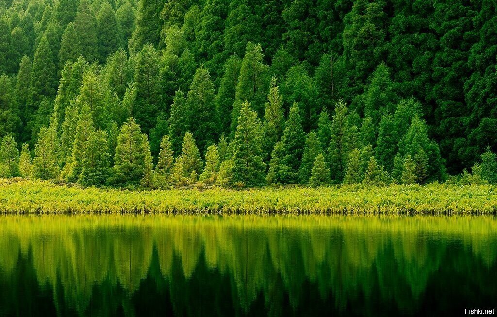 azorskie-ostrova-v-portugalii