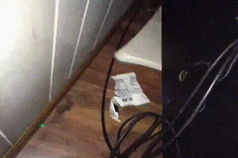 Как мы с котом провода кидаем