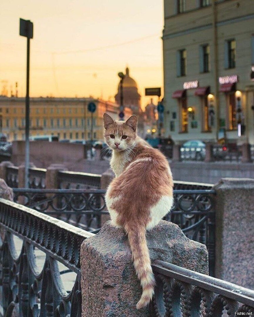 - Это мой канал