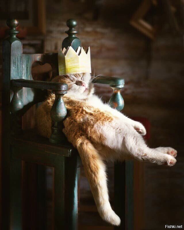 да ерунда это всё что я думаю и говорю