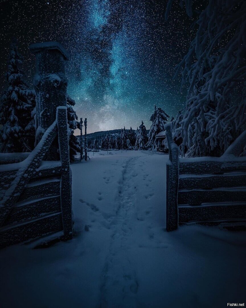 Фото из Норвегии