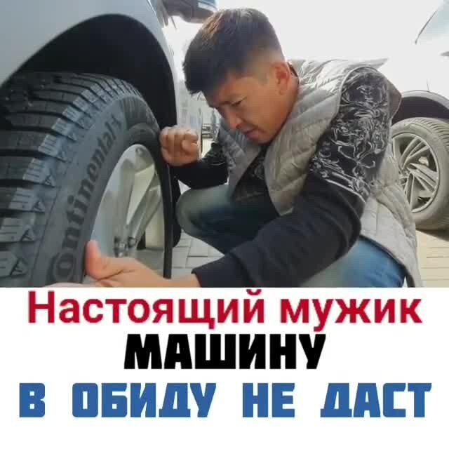 наши вайнеры)