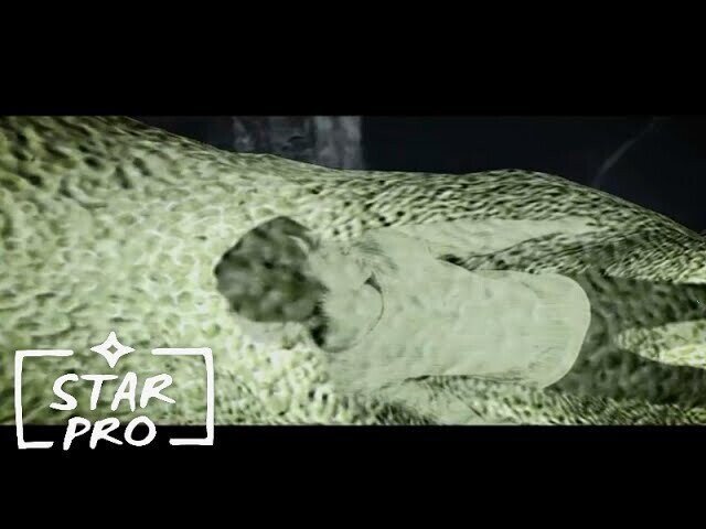 А как бы вы проанализировали эту присланную песенку