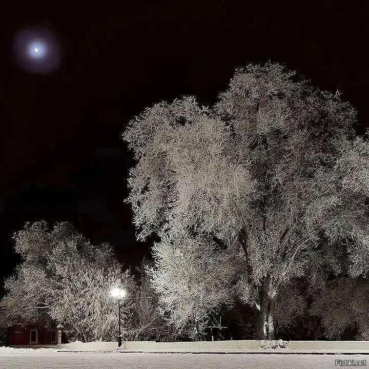 27 декабря, Филимонов день (Каков Фирс, таков и февраль)