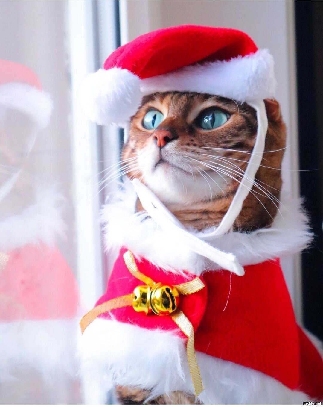 Доброе утро ) Удачной недели 