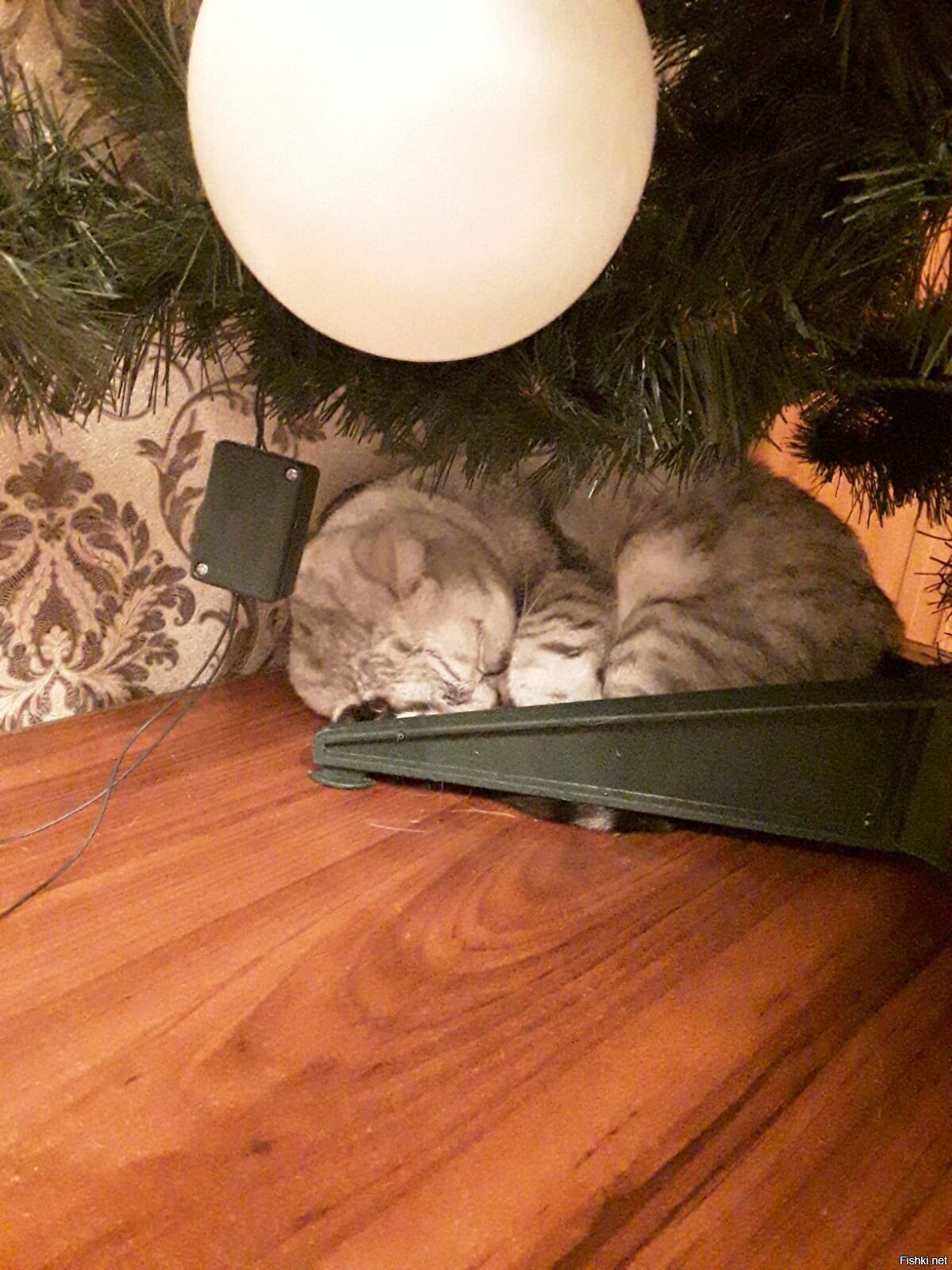 разрыв шаблона