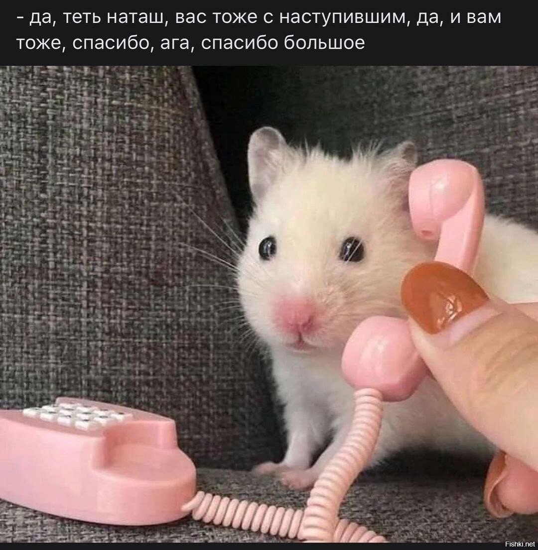 Совсем скоро: