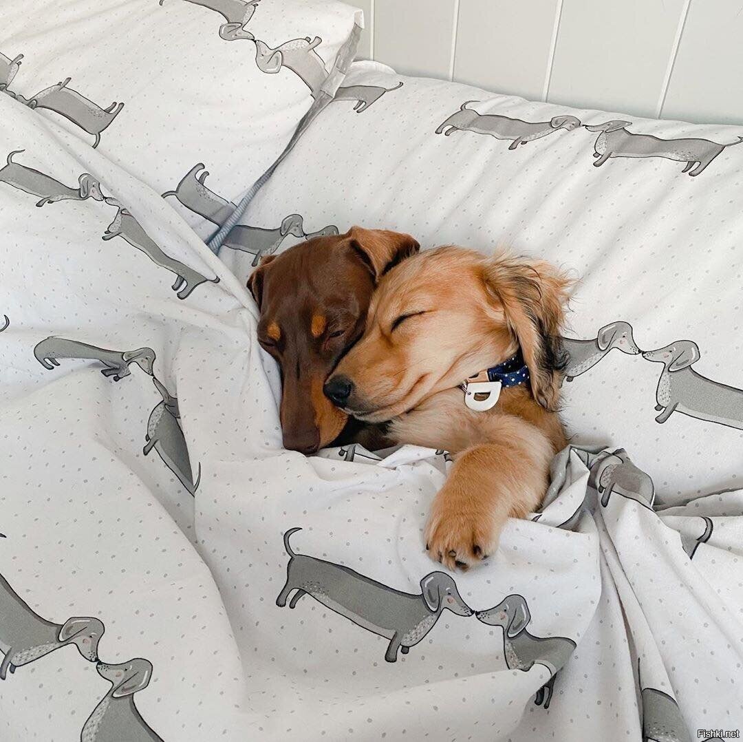 Доброе утро