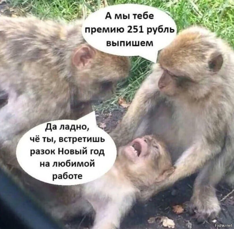 Когда досталось работать в новогоднюю ночь