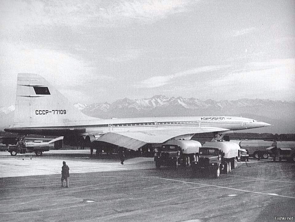 на фоне алматинских гор