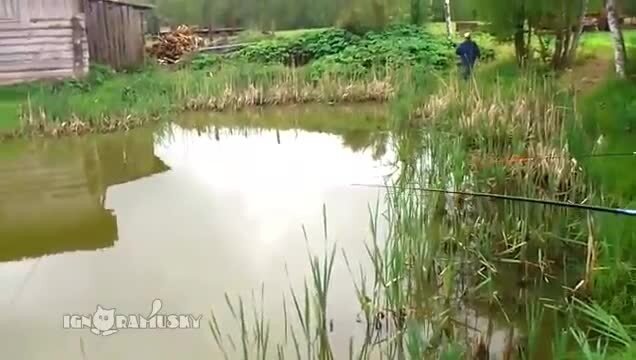 Прыткий котяра