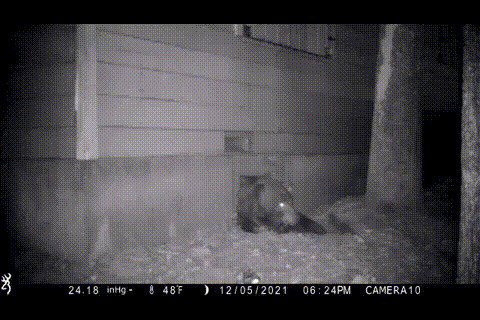 Всем доброго