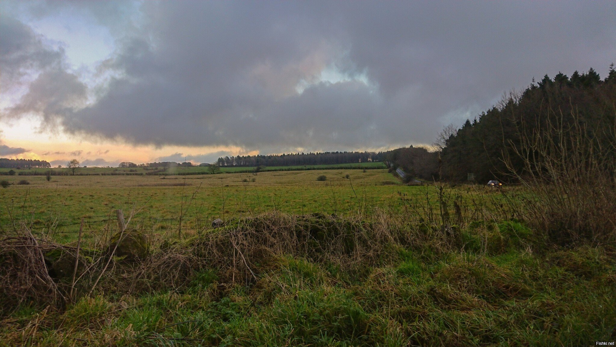 Английское поле
