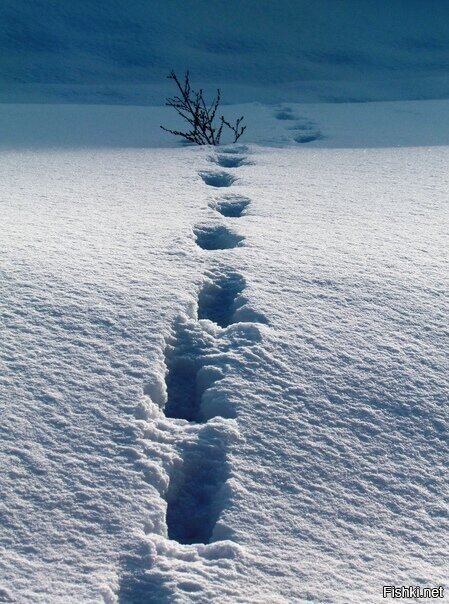 Доброго дня