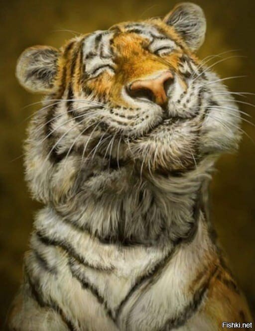 КОГДА УСЛЫШАЛ ВСЕ НАШИ ПОЖЕЛАНИЯ НА СЛЕДУЮЩИЙ ГОД))