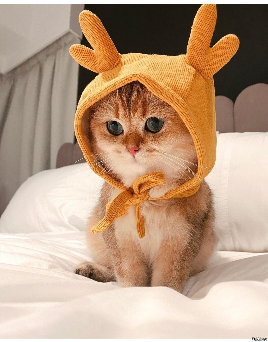 Доброе утро