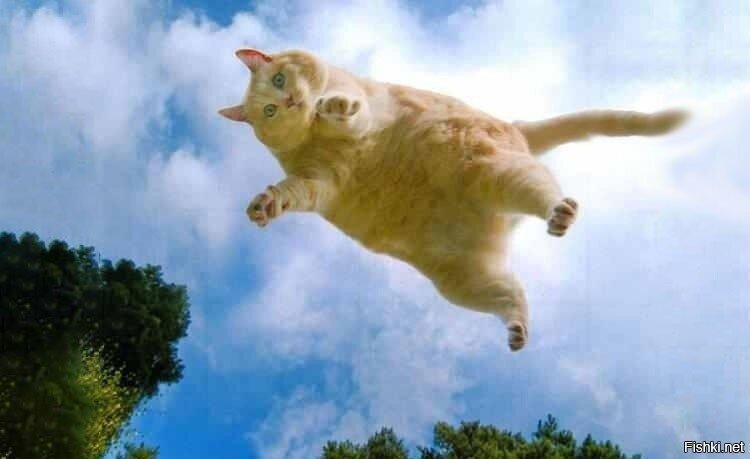 С добрым утром