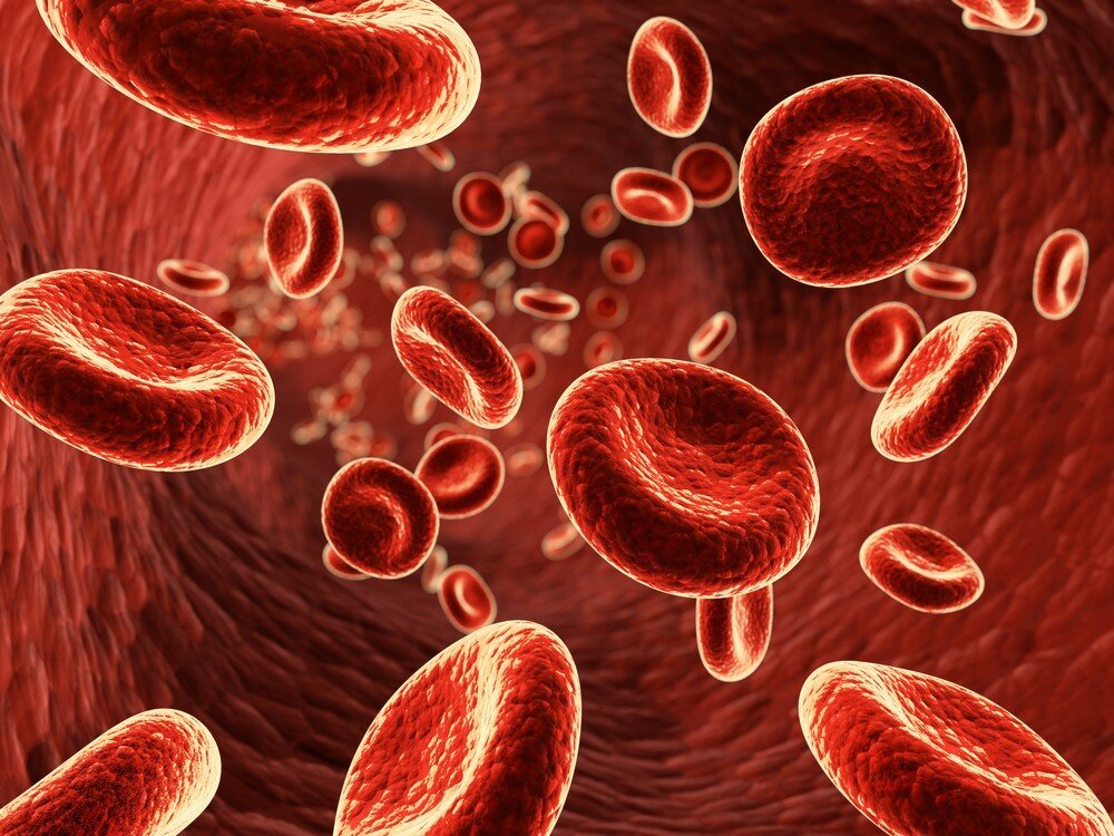 Почему пониженный гемоглобин представляет угрозу для здоровья?