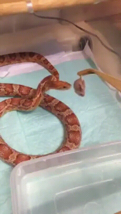 Когда зрение -9