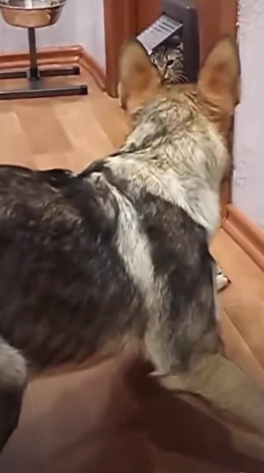 Окно в регистратуру)))