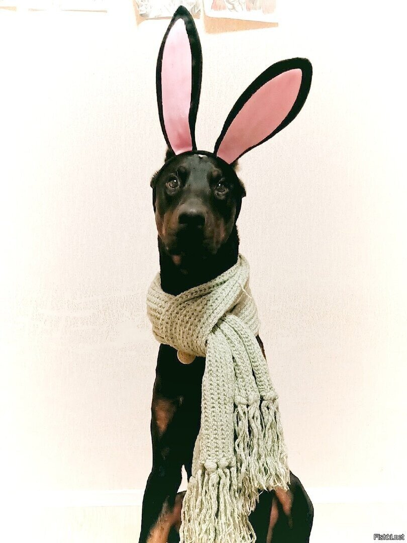 Новогоднее