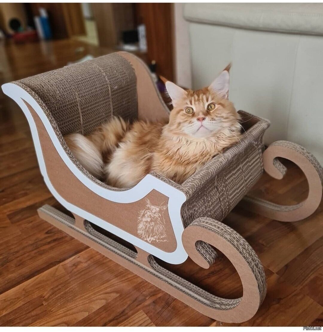 Доброе утро