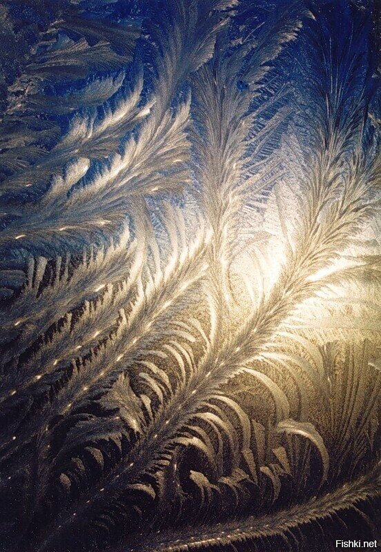 Доброе утро)