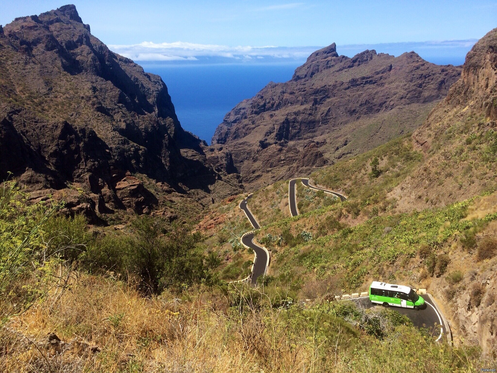 Только наверх