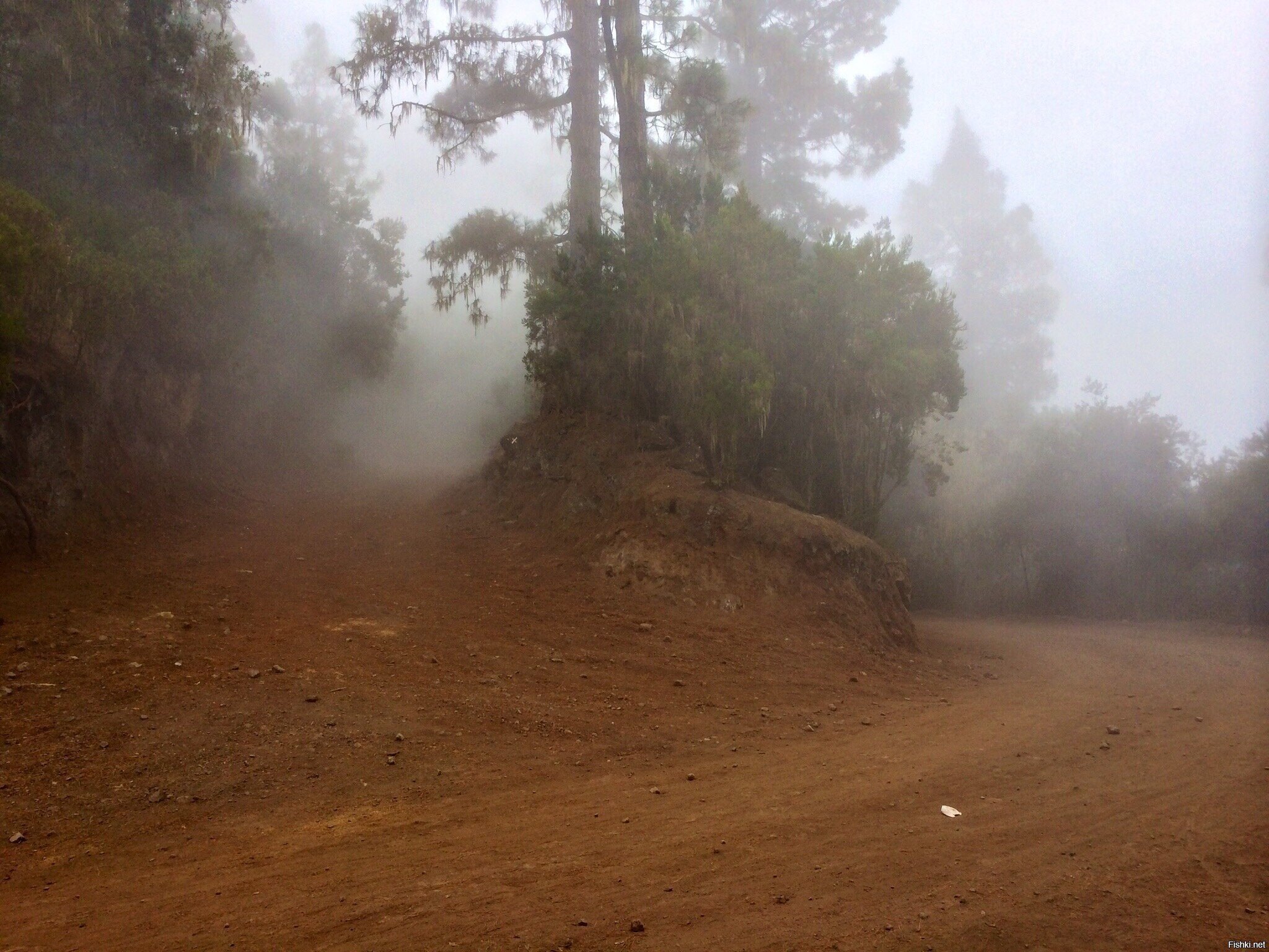 Сквозь облака