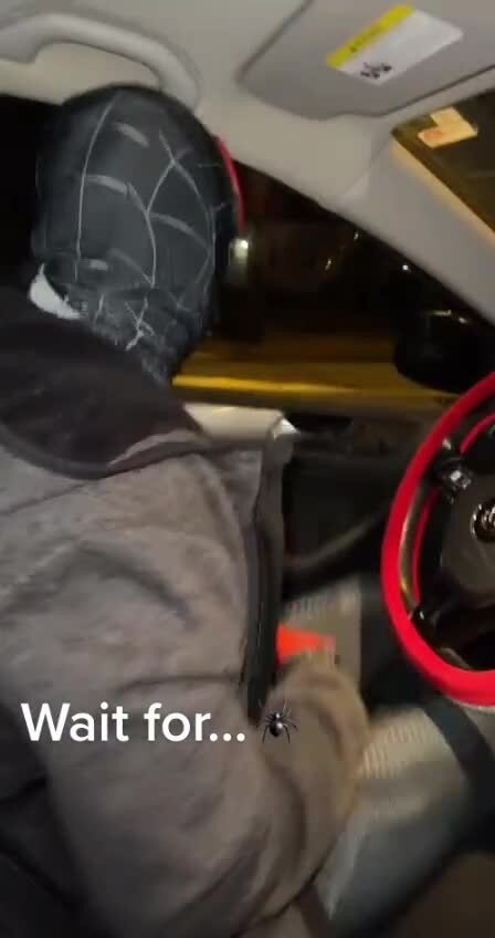 Человек-паук 4: Не вижу дома