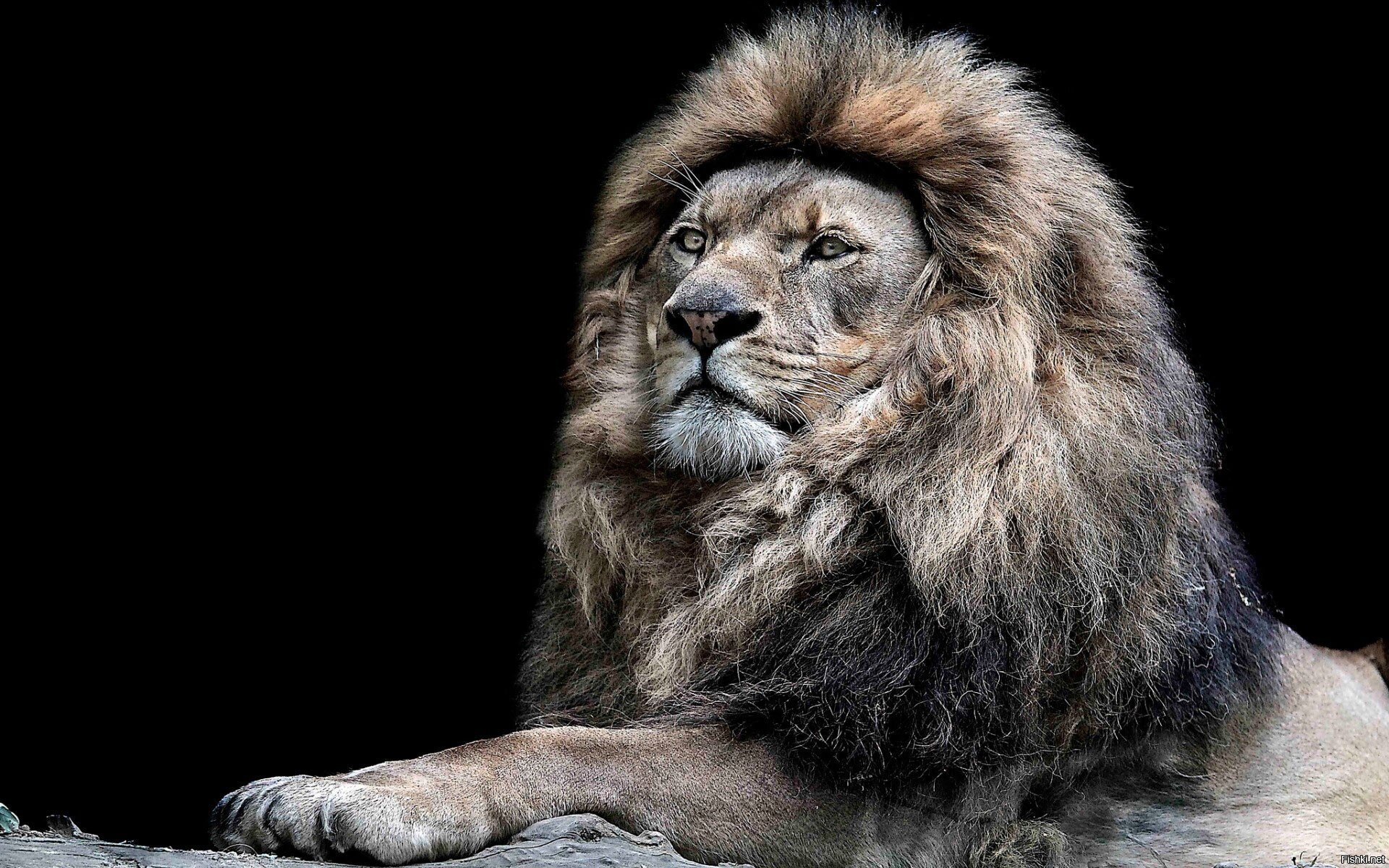 Понты не бывают у сильных людей