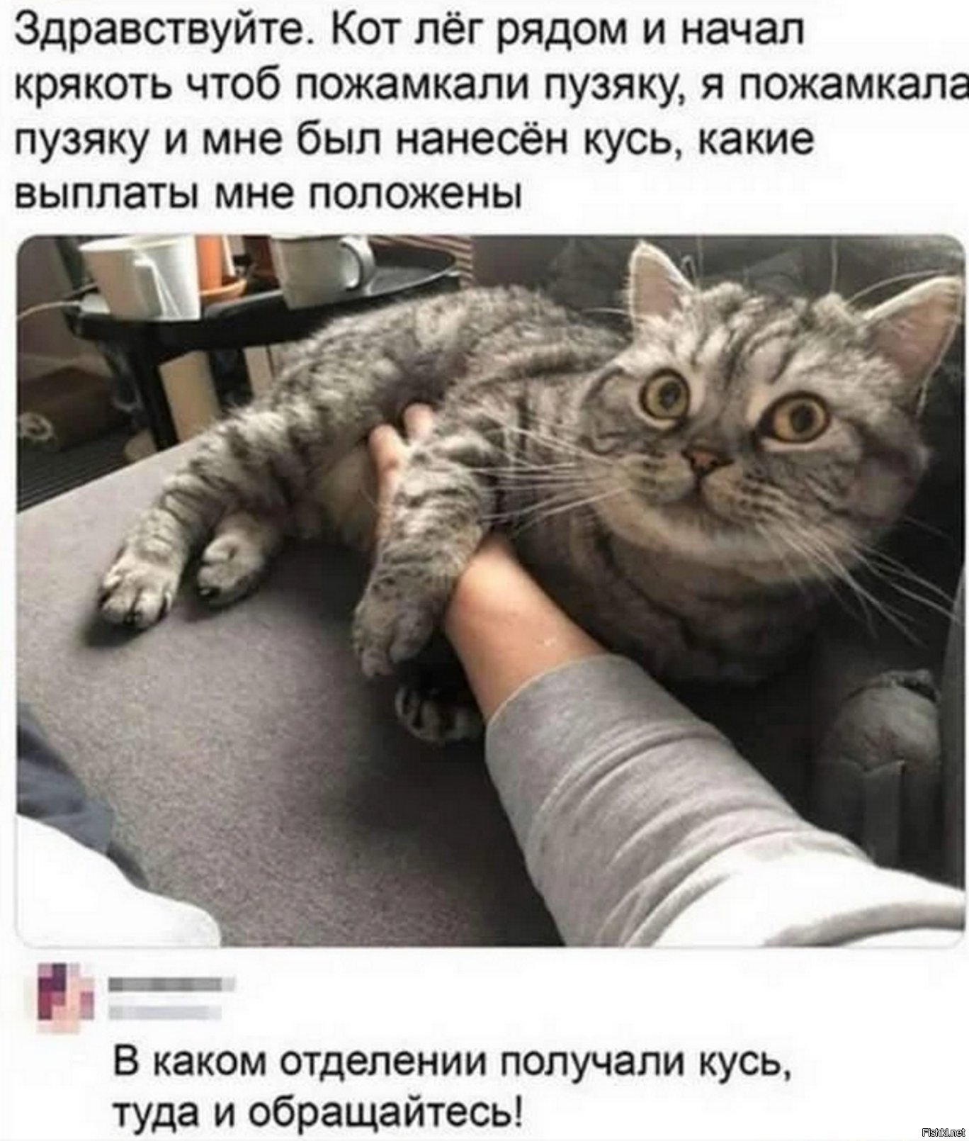 Солянка