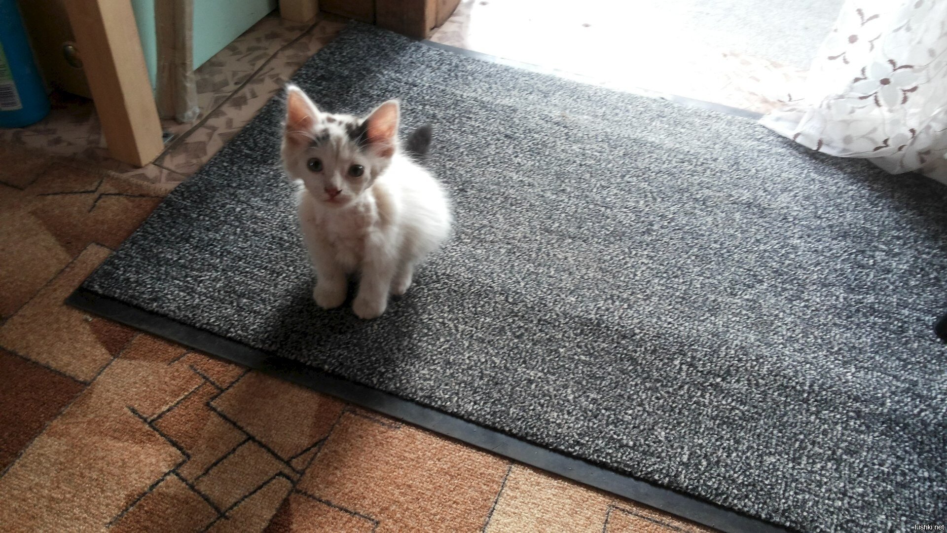 -Меня зовут Егорка