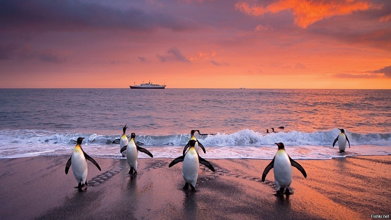 - Ковальский, азимут