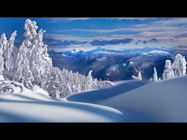 Великолепный Ричи Б