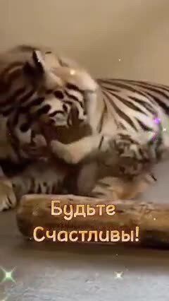 С наступающим, соляне