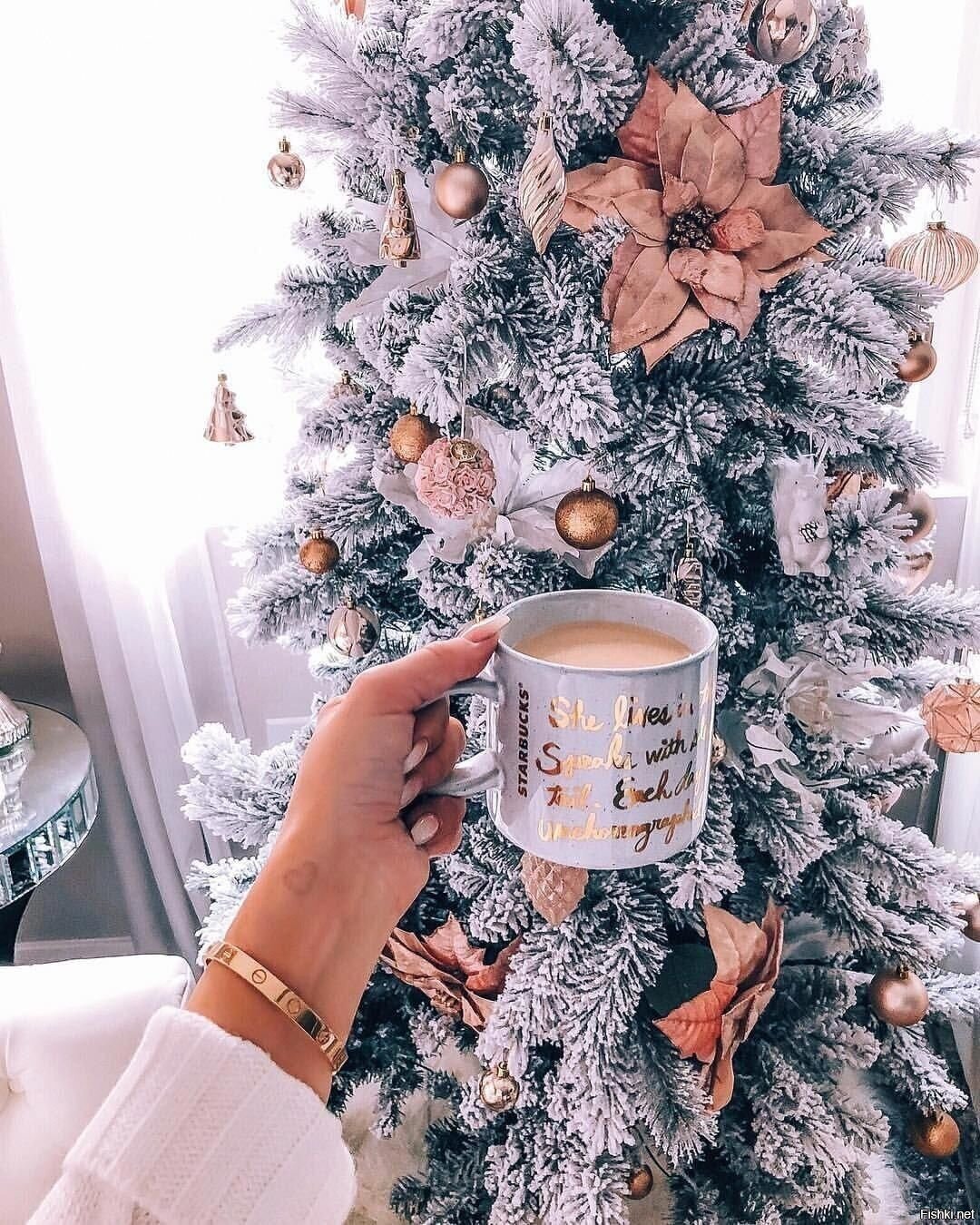 Дорогие солянщики