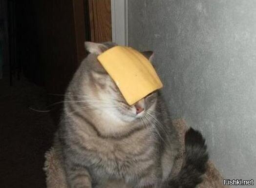 Когда долго что-то выпрашивал, а теперь как-то и не надо