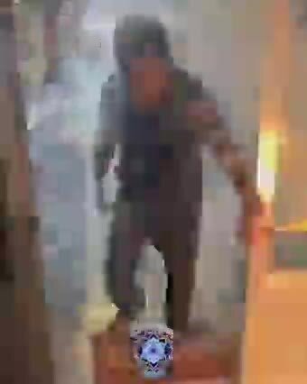 Когда у тебя есть собака,, пироманьяк,, лол